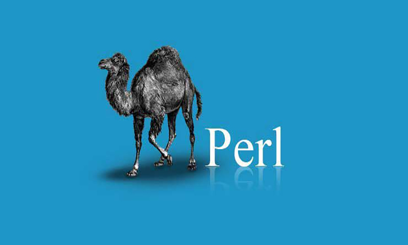 معرفی زبان برنامه نویسی پرل (Perl)